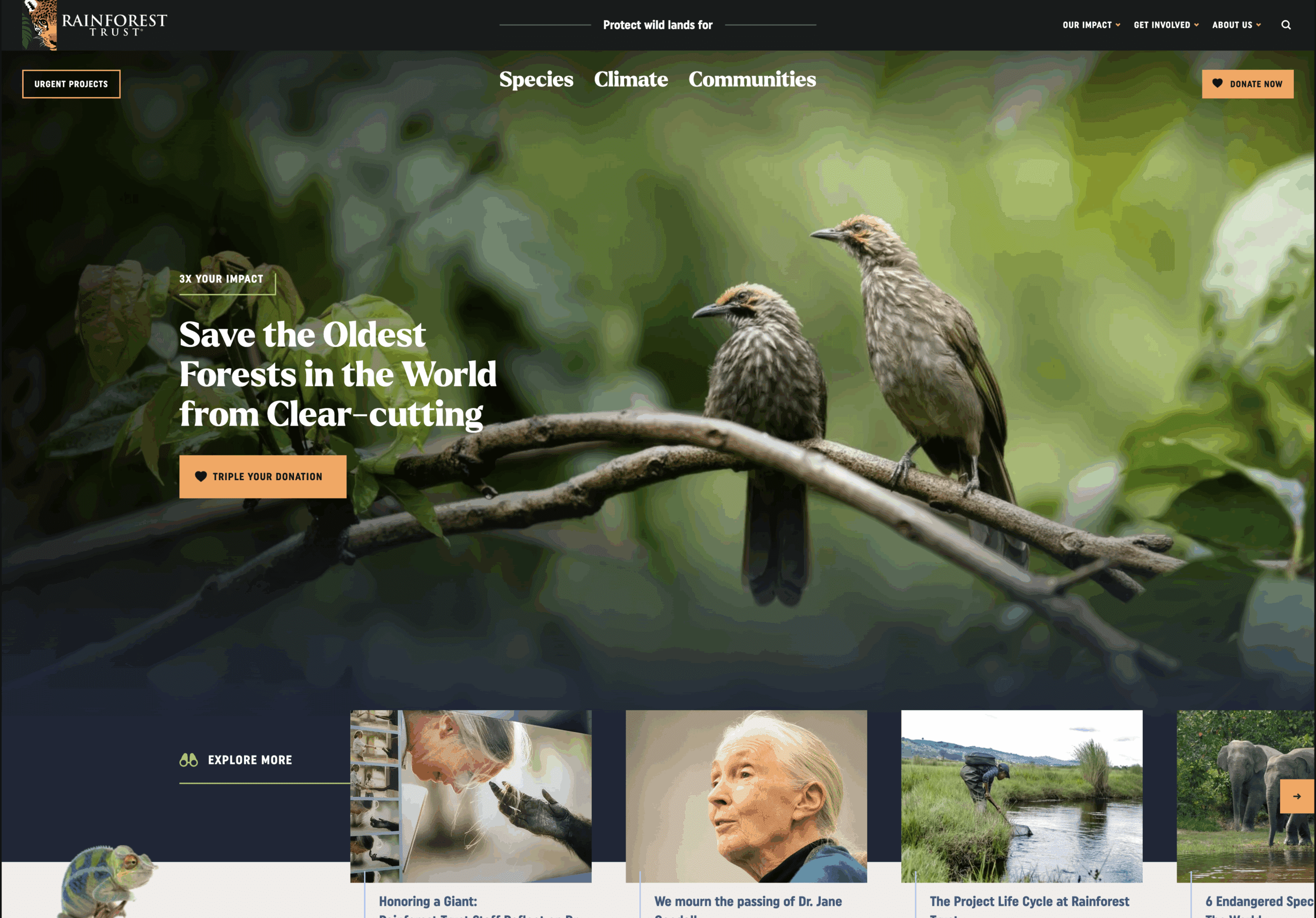 Rainforest Trust